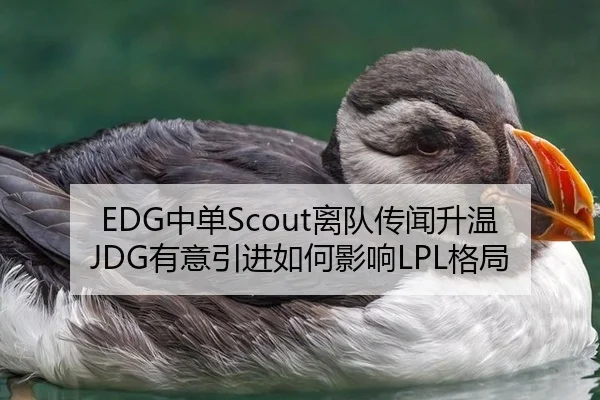 EDG中单Scout离队传闻升温 JDG有意引进如何影响LPL格局